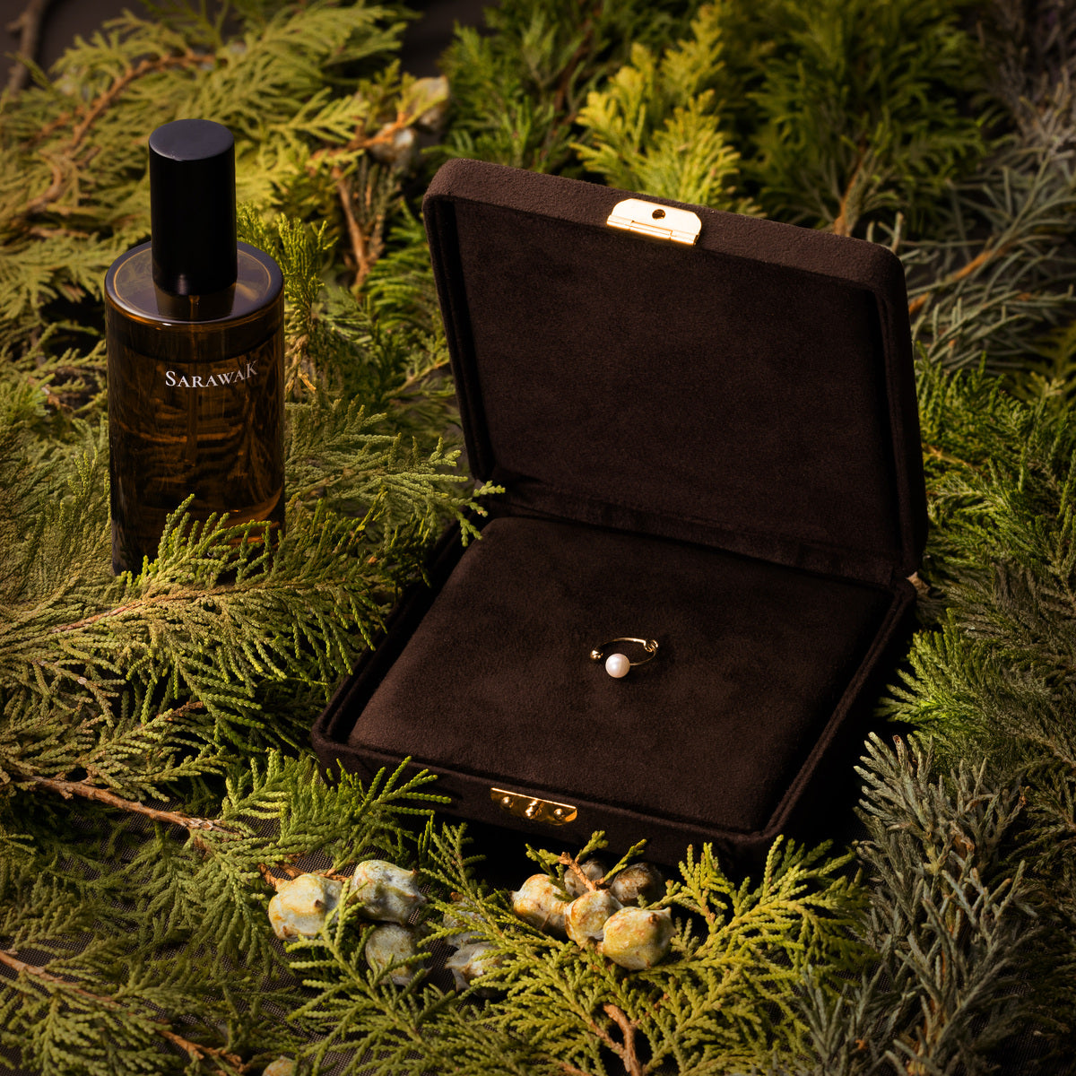 HOLIDAY GIFT SET HONEY ANT Ear Cuff