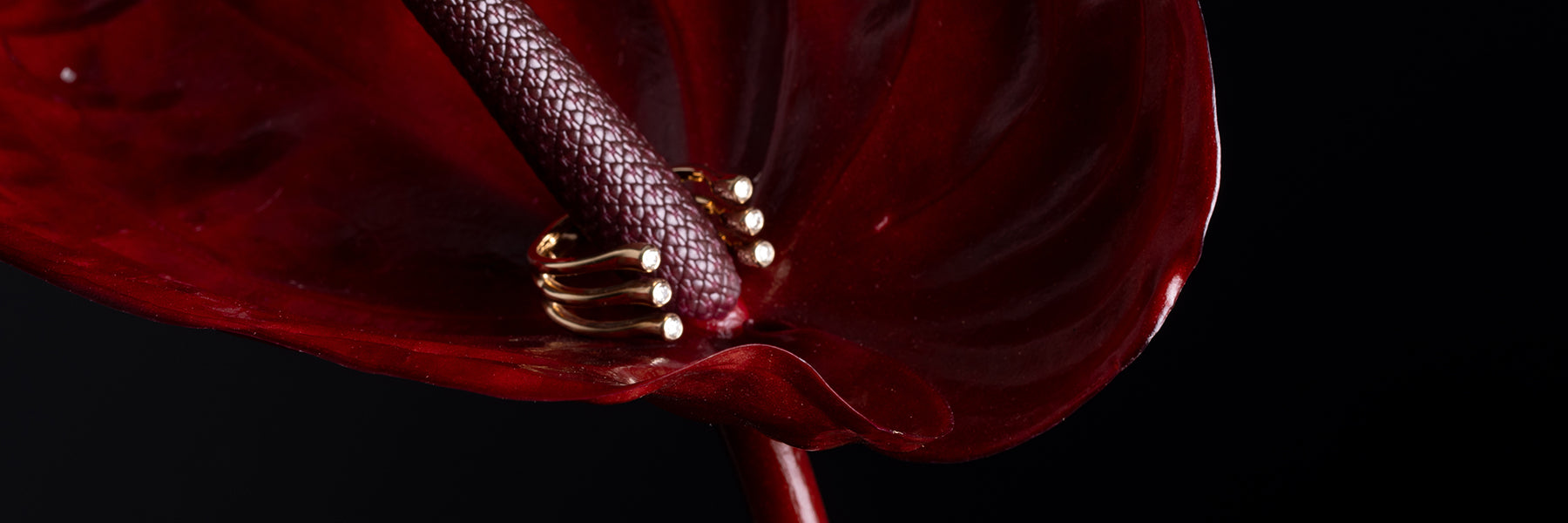 Hirotaka Jewelry Official Online Store