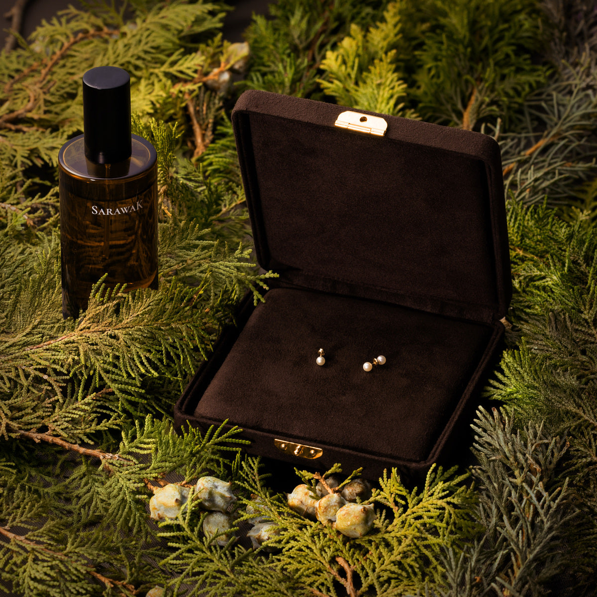 HOLIDAY GIFT SET HONEY ANT Earrings